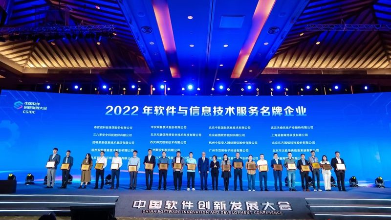 软件开发与系统集成：优缺点解析