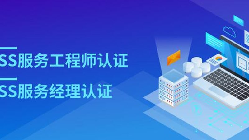 信息系统集成项目管理规范定制：从通用模板到适配落地